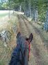 Ferme Equestre de la Sabatarie